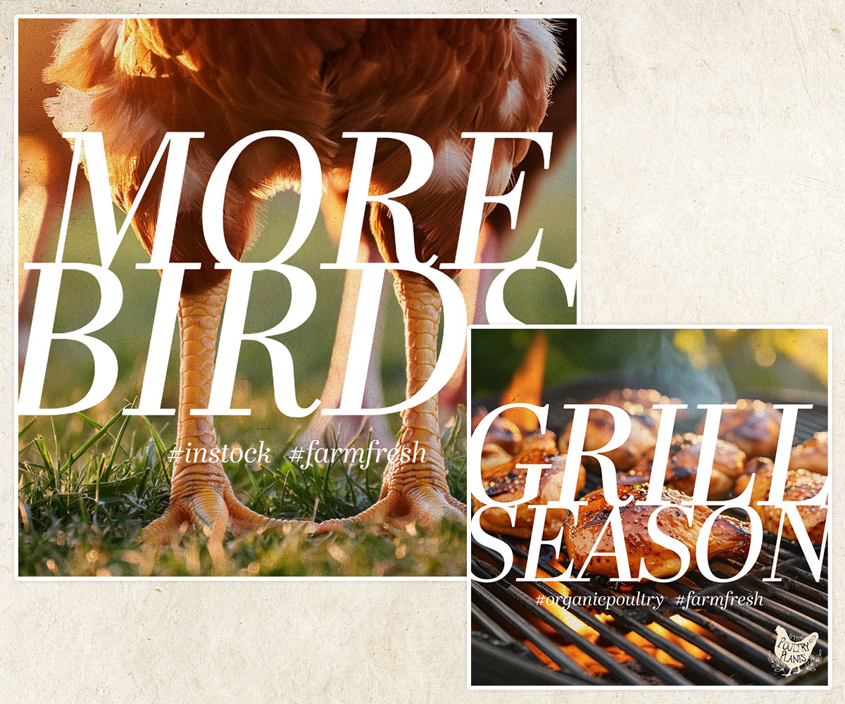 B'More Organics Social